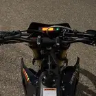 دباب صحراوي