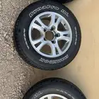 جنوط فراشه ثلجي