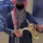 قهوجي وصبابين