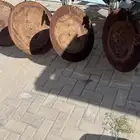 محراث قرص