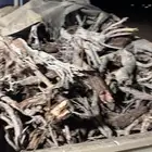 حطب طيب ارطى