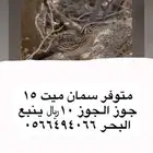 سمان 10  قمري 110