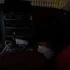 نسيان باترول بلاتينيوم 24 ماشي 8 الاف الأزرق