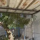 يوجد شبك دجاج للبيع ويوجد دجاج للبيع