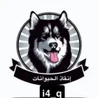 منقض حيوانات