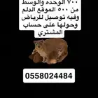 نجدي