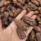 تمر حشيه حبه كبير