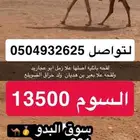 للبيع قعدان ولقعه لتواصل