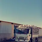 دينه