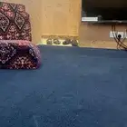 دينا ونش