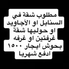 مطلوب شقة