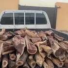 حطب افريقي محلى