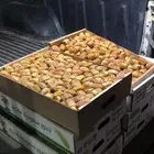 تمر سكري مفتل