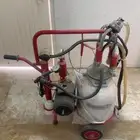 حلابة بقر