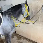 خير عربي جمال للبيع
