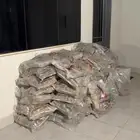 حطب زيتون افريقي