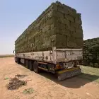 برسيم صافي ورق