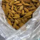 لباب بجلي بلدي فاخر