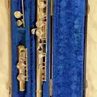 آلة موسيقية عبارة ساكسون وهارمونق