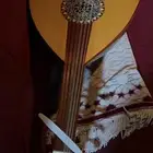 عود جديد للبيع