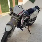 ديار 2024 مصدوم