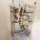 كروان اليف وهدد داخلي