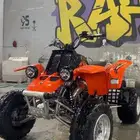 بانشي 2008 خرط 100