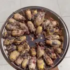 دخل للبيع العدد 31