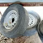 جنوط