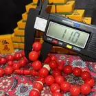 مسباح سبحه سبحة مسابيح بلياردو صب جديد