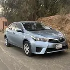 كورلا 2015 نص فل