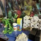 حوض سمك كامل للبيع مع اغراضه