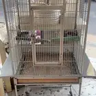 اقفاص طيور للبيع