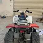 دباب بانشي للبيع