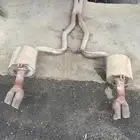 كت باك كابرس