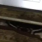 5طاولات مجلس أرضي أحد اجزاء ديكور مفقود وكسر بسيط بالخرج