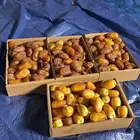 خلاص ومكتومي مناصيف ورطب