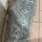 عطاء راس برادو مع كويلات