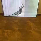 للبيع شاشه