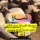 ذبايح نعيمي مع ذبح وتوصيل ومتوفر تمارا