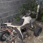 دباب فراشة صيني