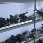 كراسي مكينة للبيع