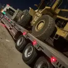لوبد بيشة