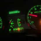 فورد بوليسي حكومي