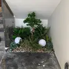 تفصيل اي شجر