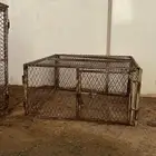 شبك