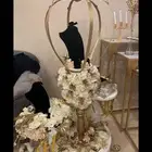ستاند زواج او ملكه شبكة