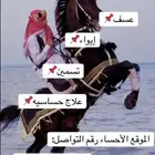 إيواء