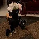 مانيكان دبش