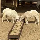 طلي ورخل ثلاجه حري